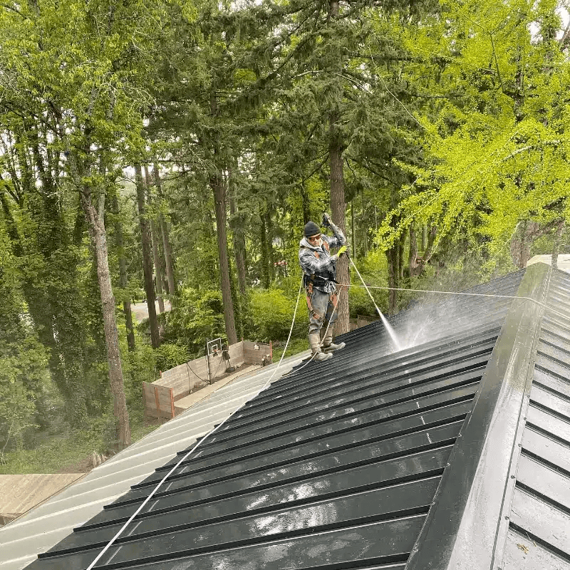 A worker pressure washing a dark metal roof on a home. The surrounding trees create a lush, green backdrop for this home maintenance task.
